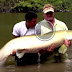 EPIC AMAZON RIVER MONSTER