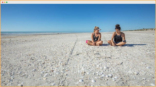 Shell Collecting Beaches in Western Australia