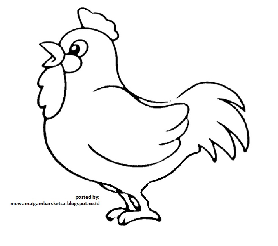Mewarnai Gambar Sketsa Hewan Ayam