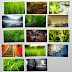 Nature Walls Pack 1