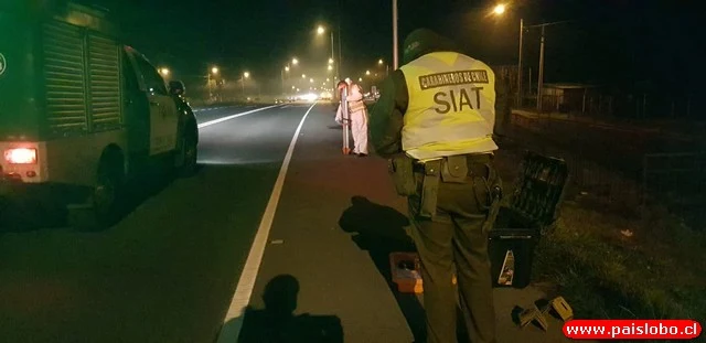 Fatal accidente en la Ruta Internacional 215