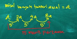 Blog Defantri  Dang Holan Matematika