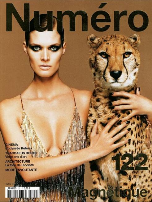 Numero Cheetah Cover