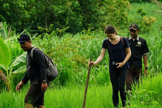 Wisatawan Mancanegara Minati Jelajah Alam di Desa Wisata Tinalah