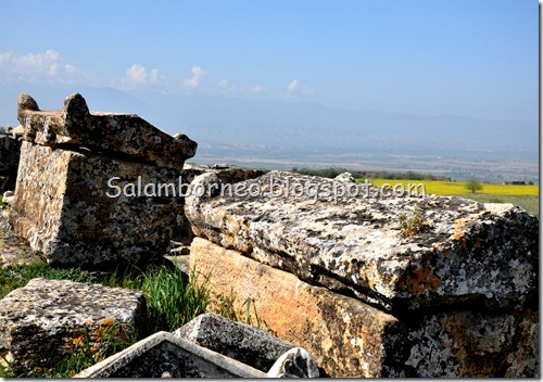 DSC_2320_Fotor DSC_2320_Fotor