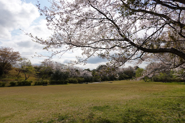 鳥取県米子市福市　福市遺跡公園