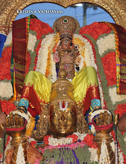 Aani,Garuda Sevai,Gopura Dharisanam ,Yesal Purappadu , Vahanam,Sri Theliya Singar, Yoga Narasimhar,Brahmotsavam ,Purappadu,Video, Divya Prabhandam,Sri Parthasarathy Perumal, Triplicane,Thiruvallikeni,Utsavam,