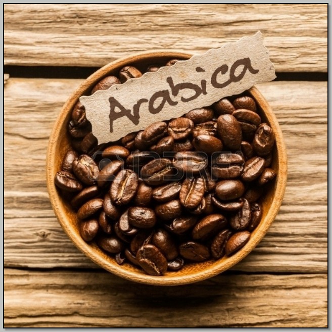 BEST TASTING COFFEE BRANDS - tampacrit.com