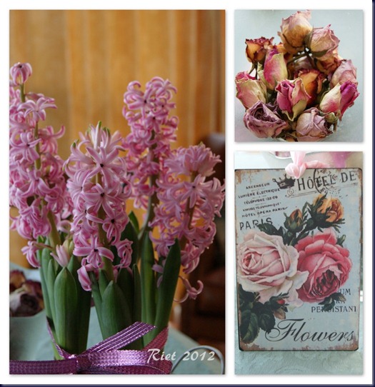 roze droge rozen1