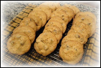 Chocolate Chip cookies 1