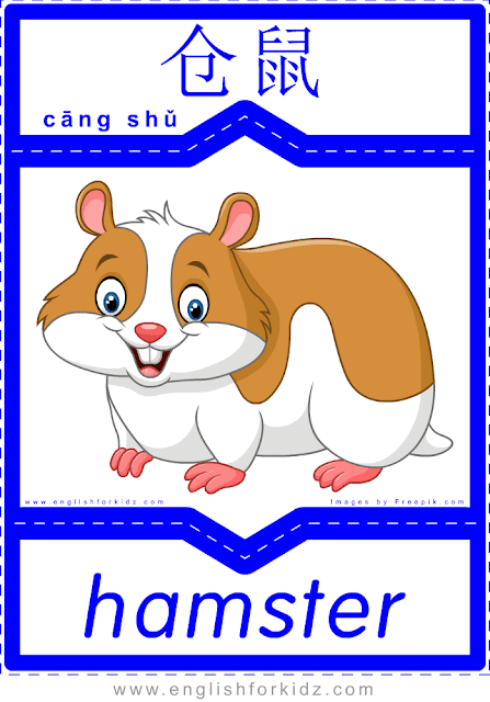 Hamster - printable English-Chinese flashcards - pets