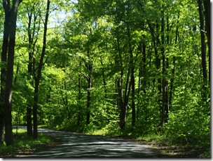 Initially we wanted to Camp, but most of the campgrounds on the way were closed for renovation.