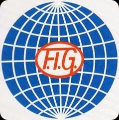 FIG