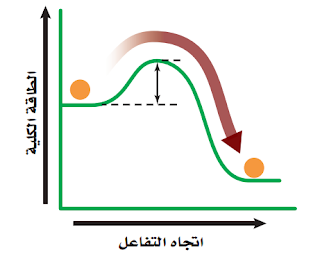 حل أسئلة اختبار مقنن الفصل الخامس ( الطاقة الخلوية )