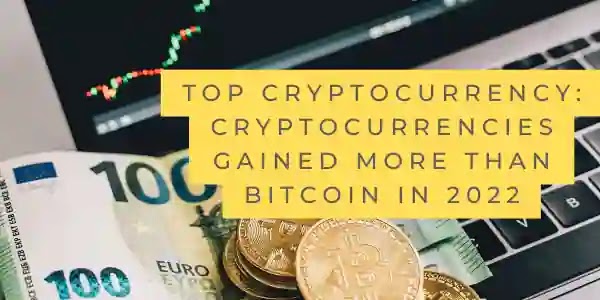 Top Cryptocurrency: Cryptocurrencies Gained More Than Bitcoin In 2022