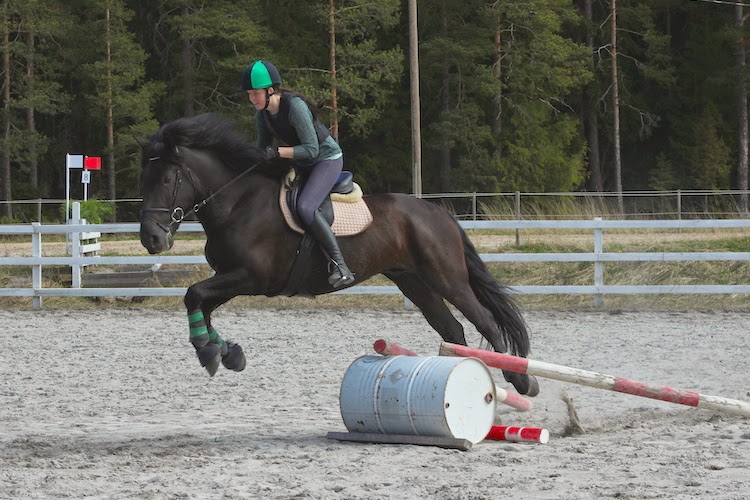 Olen työskennellyt englanniksi