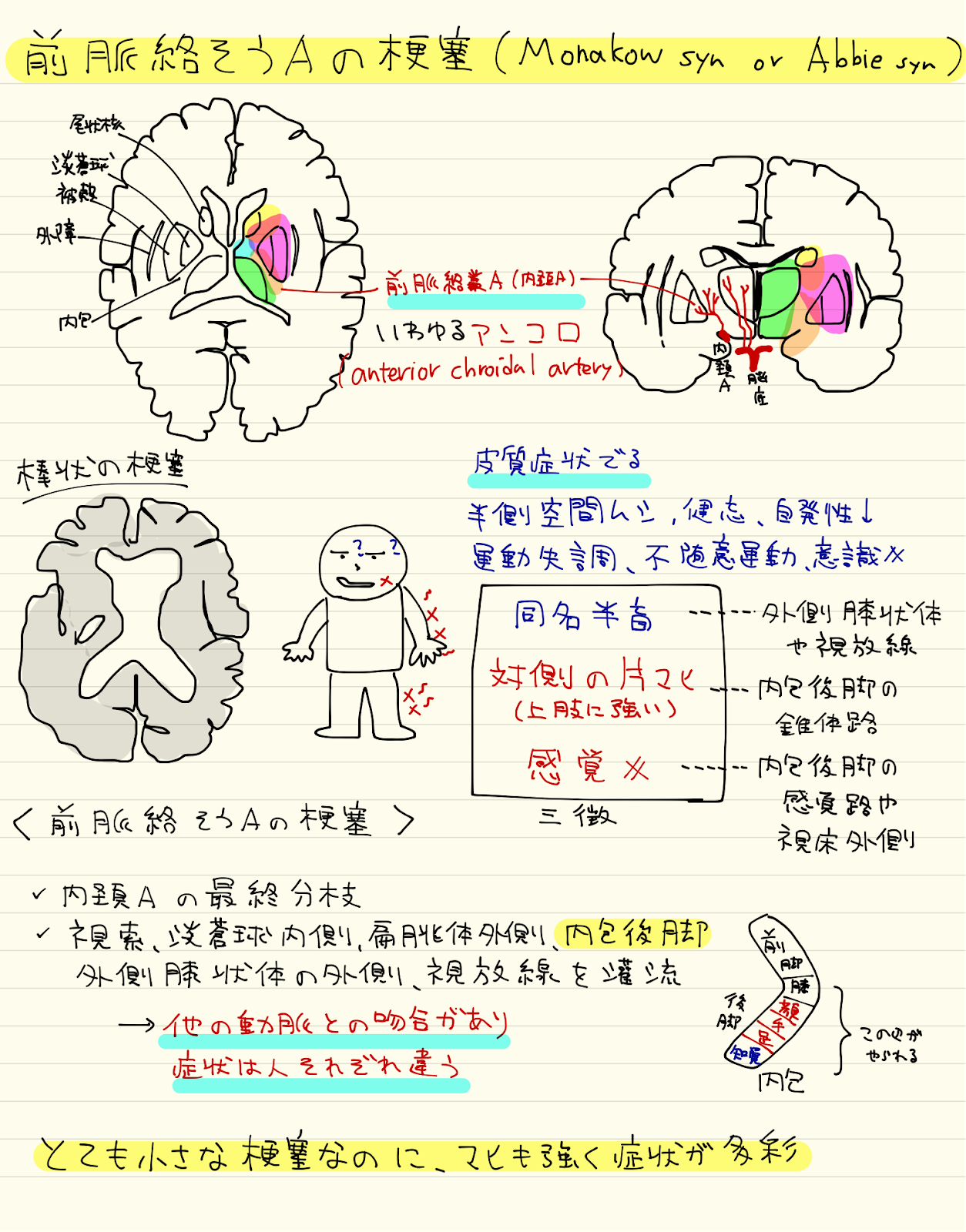 Dr Note〜いつも心に〜: 皮質症状のでる皮質下の脳梗塞