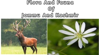 Flora And Fauna Of Jammu And Kashmir