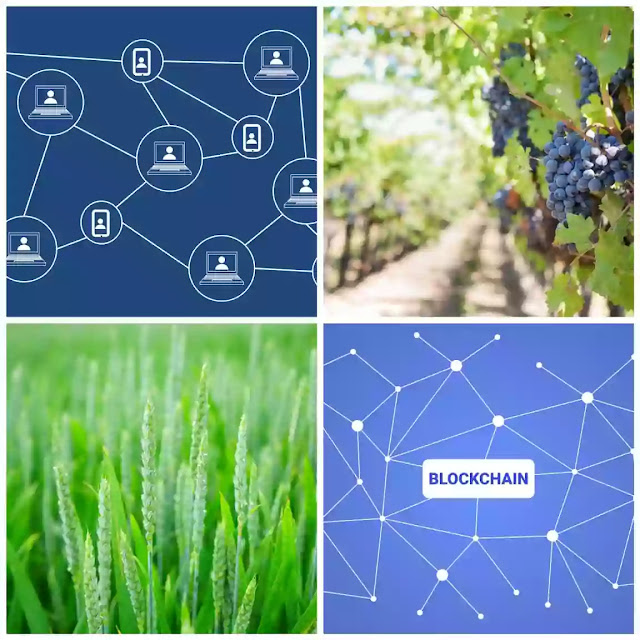 Use of blockchain technology in agriculture