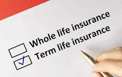 Pengertian Asuransi Jiwa Berjangka : Jenis Hingga Manfaatnya