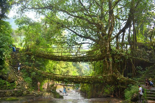 Double Decker Bridge