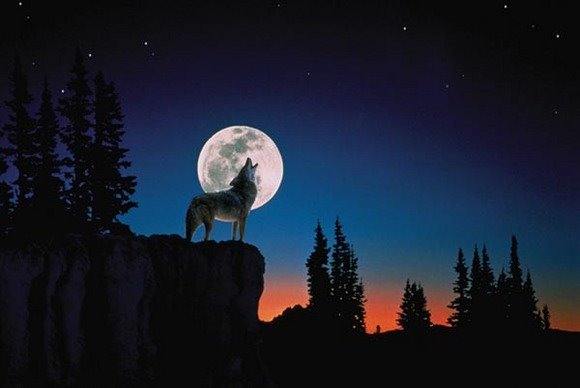 Twilight