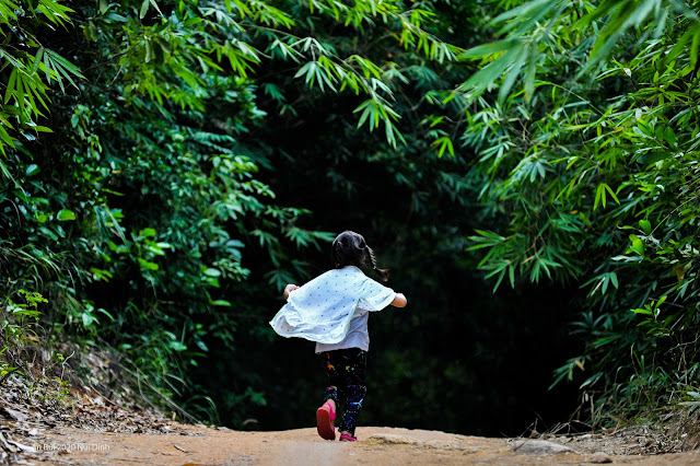 Trekking Tour Cho Trẻ Em