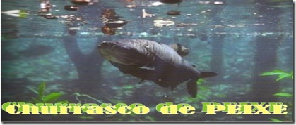 churrasco de peixe