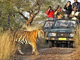 Kanha Tiger Reserve