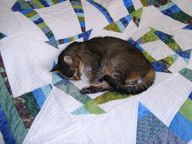 mogli on lcd quilt