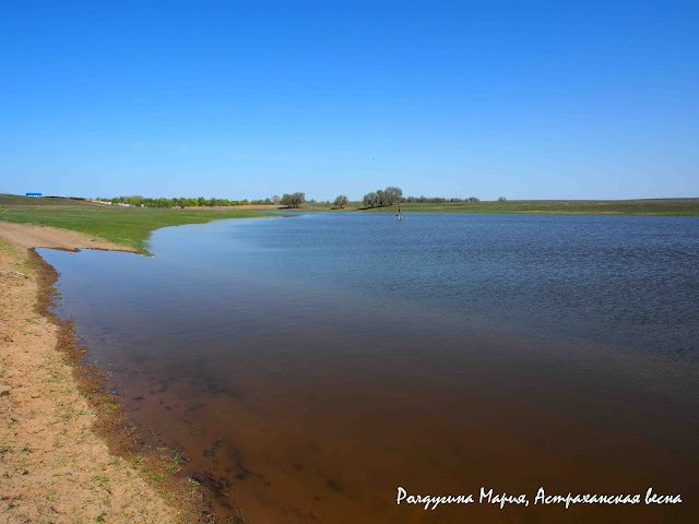 Харабали фото