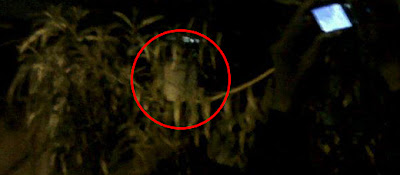 Kumpulan foto penampakan hantu pocong asli terseram di seluruh dunia