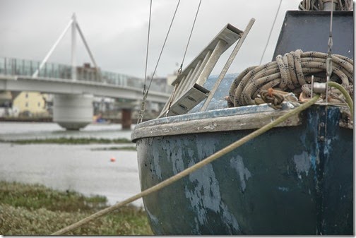Shoreham walk 019