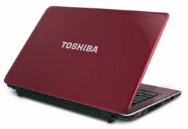 Toshiba Mini NB500