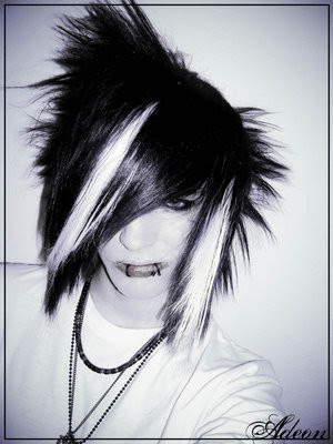 punk hairstyles pictures. Emo Punk Haircuts.1