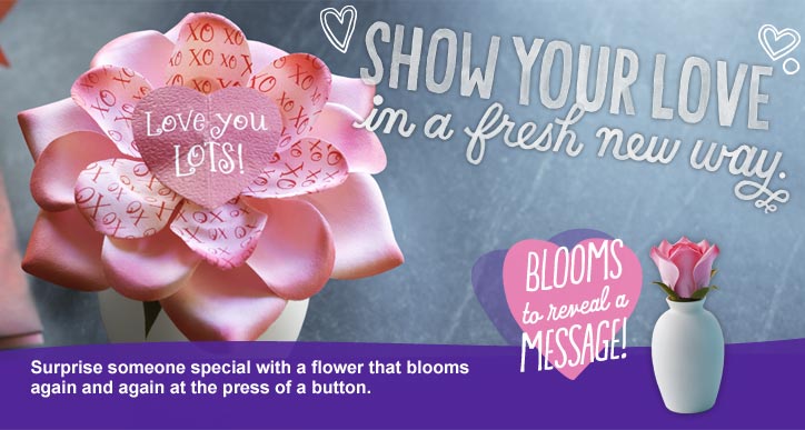 ... Someone You Know with Hallmark Blooming Expressions {Review  Contest