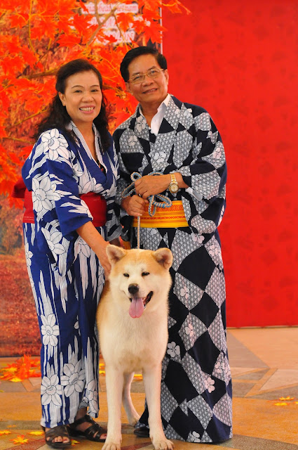 akita inu