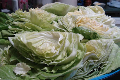 Making sauerkraut from scratch