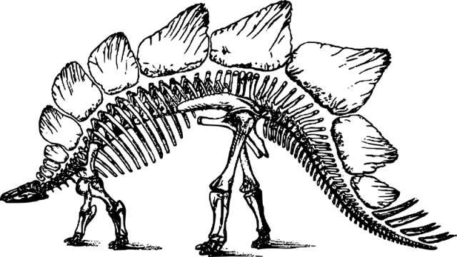 اشياء عن الديناصورات