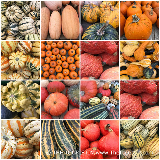 A collection of medium sized orange-green-yellow coloured pumpkins on a wooden board.