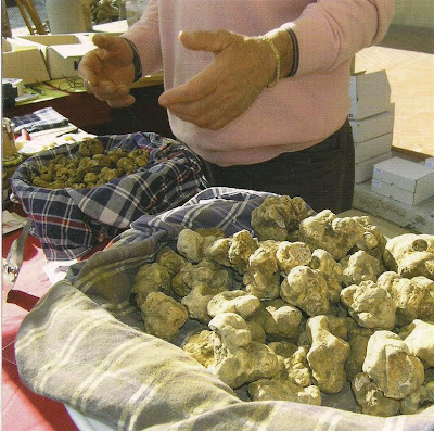 Fossa tartufo e cerere