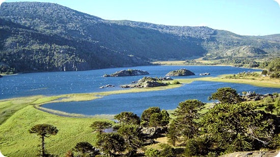 pulmari-lago