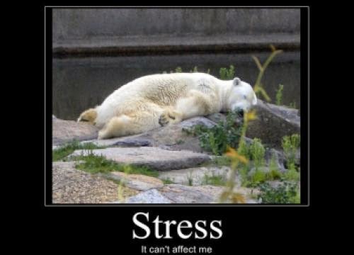 Wes Annac Astral Travels Blessing Stress June 4 2013