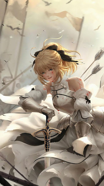 Saber Lily Fate Grand Order