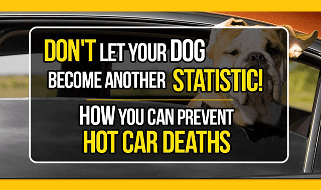 Image: Don't Let Your Dog Become Another Statistic!