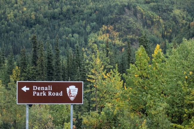denali national park entrance sign