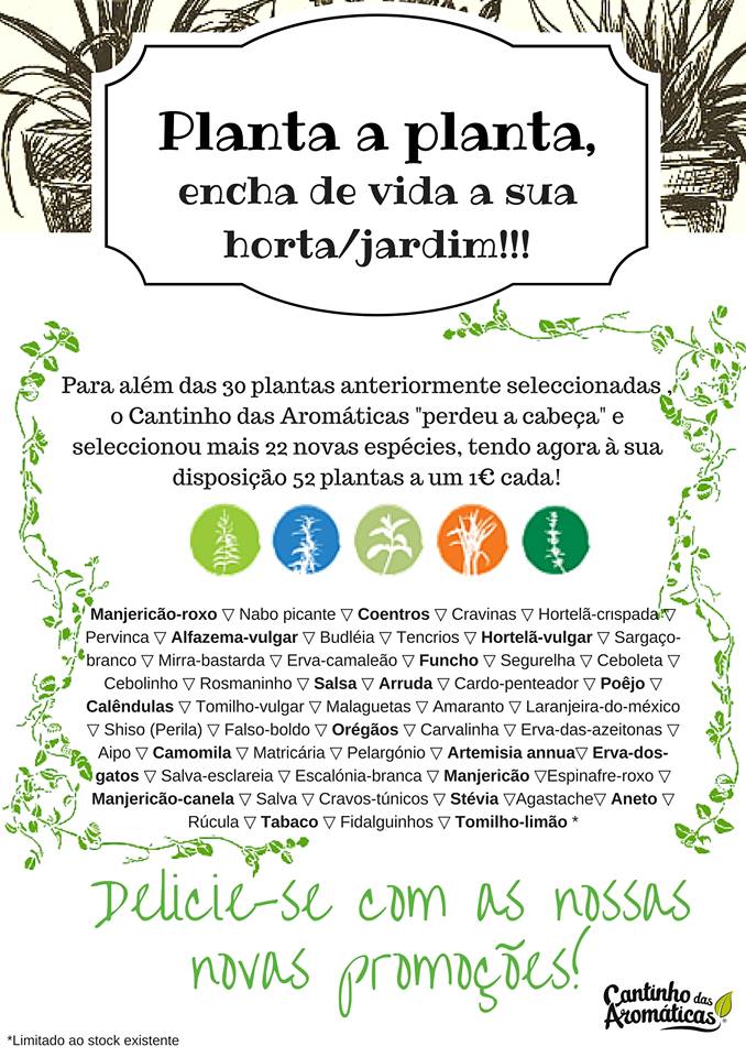 http://www.cantinhodasaromaticas.pt/lo…/plantas-em-vaso-bio/