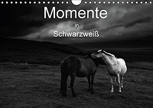 Momente in Schwarzweiß (Wandkalender 2016 DIN A4 quer): Fine Art Fotografie in Schwarzweiß - Impressionen besonderer Momente (Monatskalender, 14 Seiten ) (CALVENDO Natur)