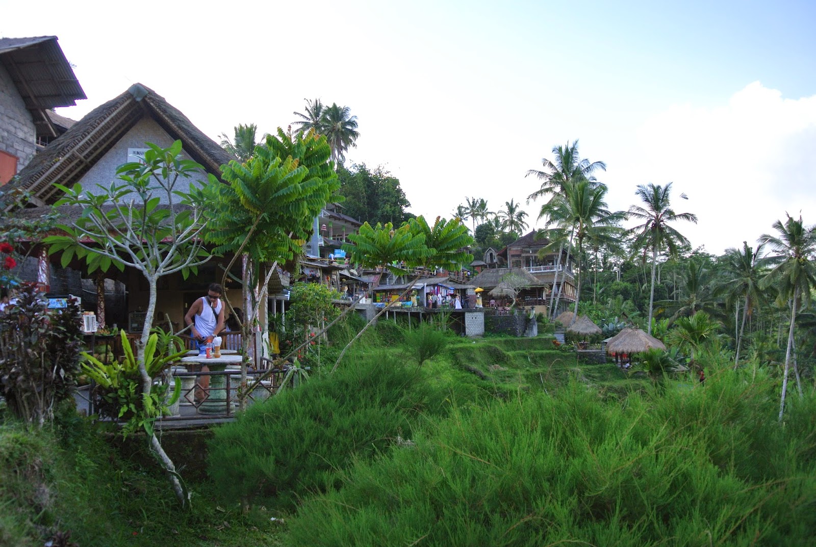 Новая асса или дачники на бали. Деревня Axl Бали. Чиликин Бали. Сингаржа Бали.