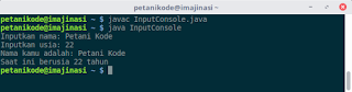 Input console Java